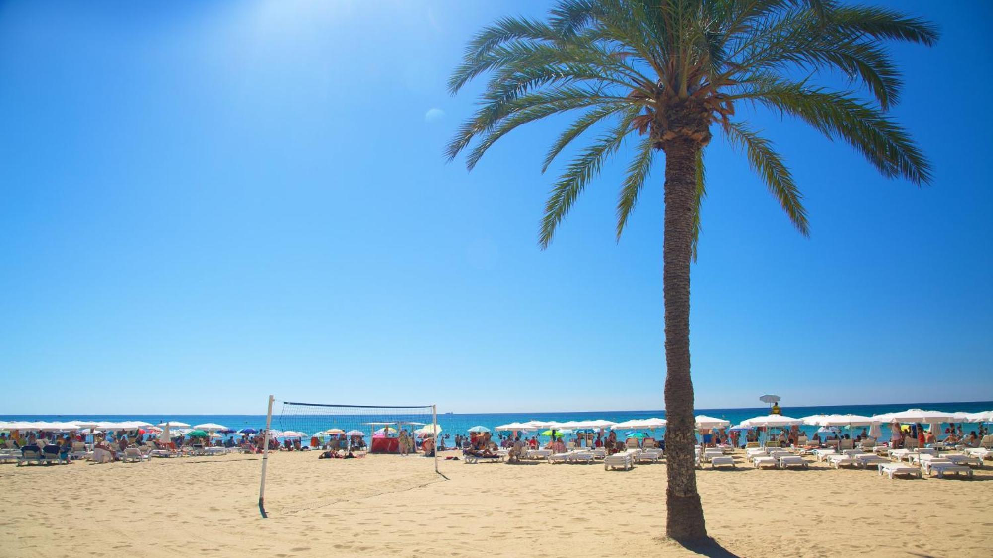 Hb Apartments - Mercado Central - Rambla Alicante - La Suite De La Playa Extérieur photo